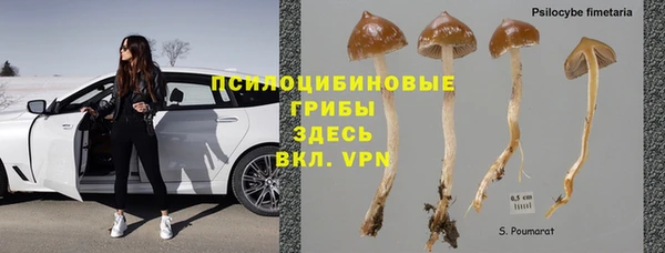 дурь Нефтегорск