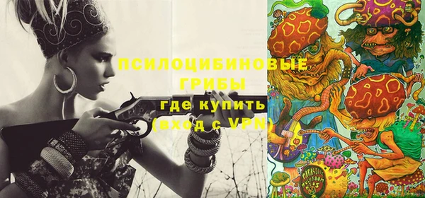 соль ск Нея
