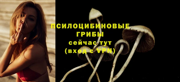 кокс Нефтекумск
