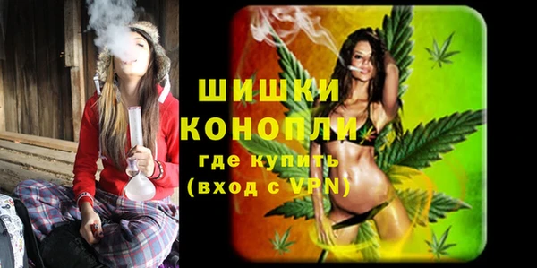 соль ск Нея
