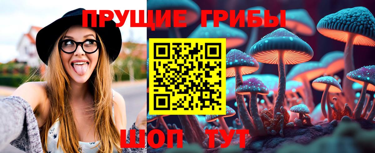 Галлюциногенные грибы Psilocybe  Вход с VPN  купить   Краснознаменск 