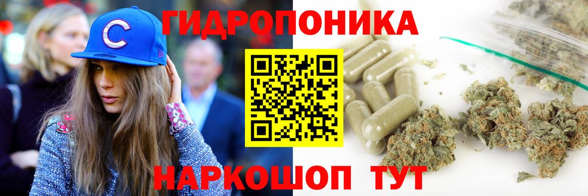 Канабис планчик  Канабис Bruce Banner  Марихуана Bruce Banner  Вход с VPN  Краснознаменск 